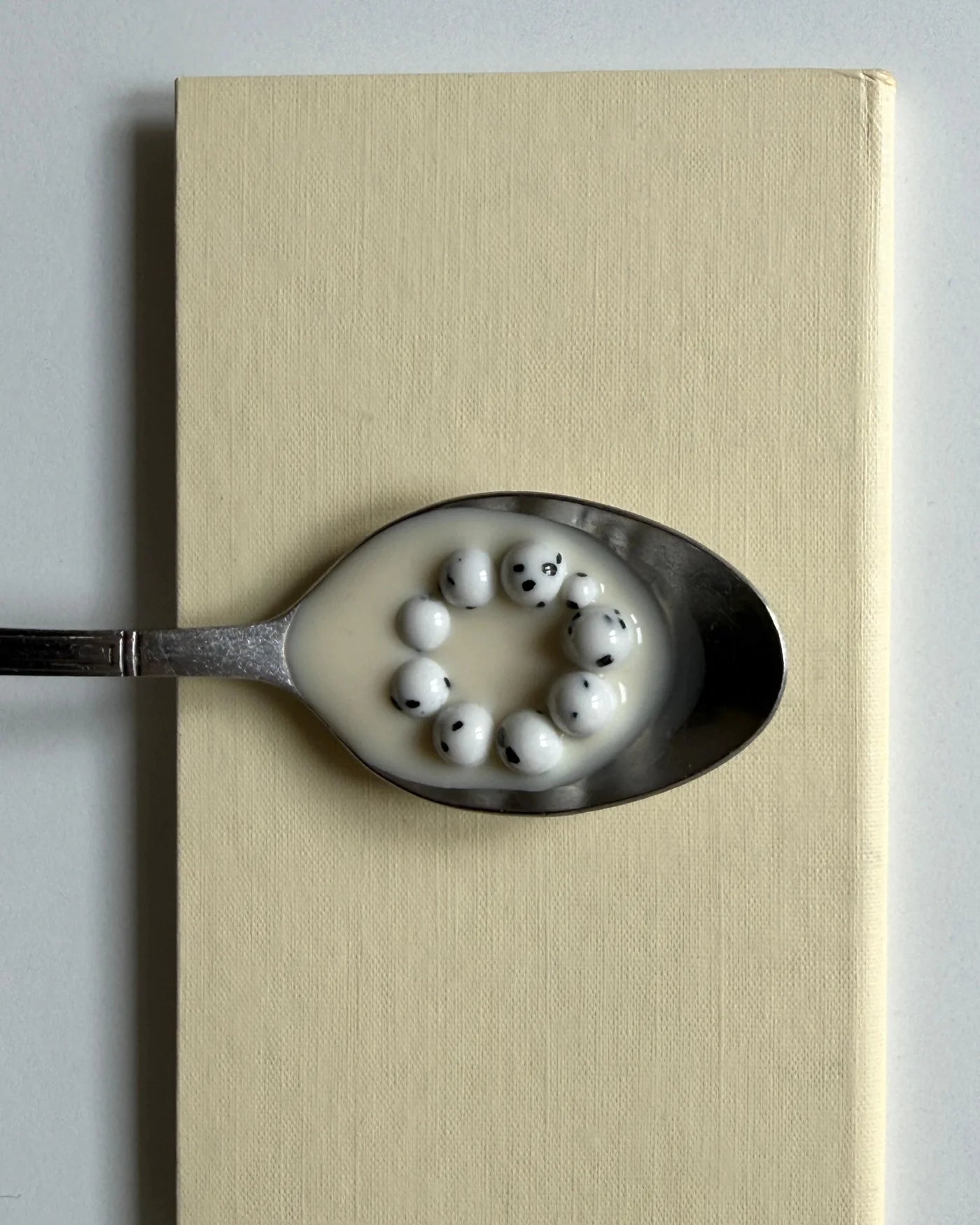 ANTONINA 101 Dalmatian Delight